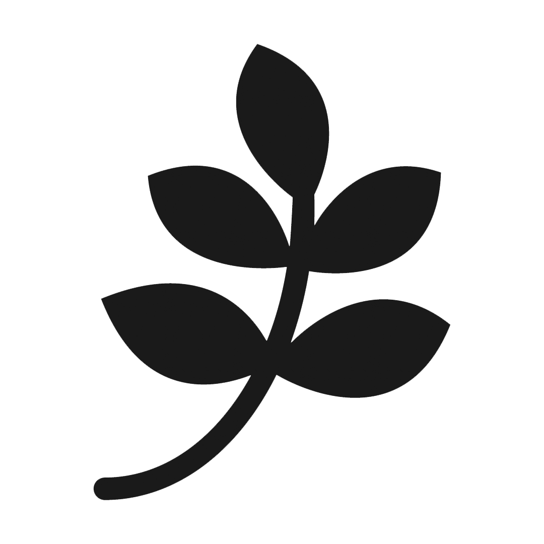 Minimalist black branch with five leaves on dark background